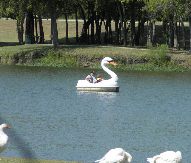 towne lake mckinney