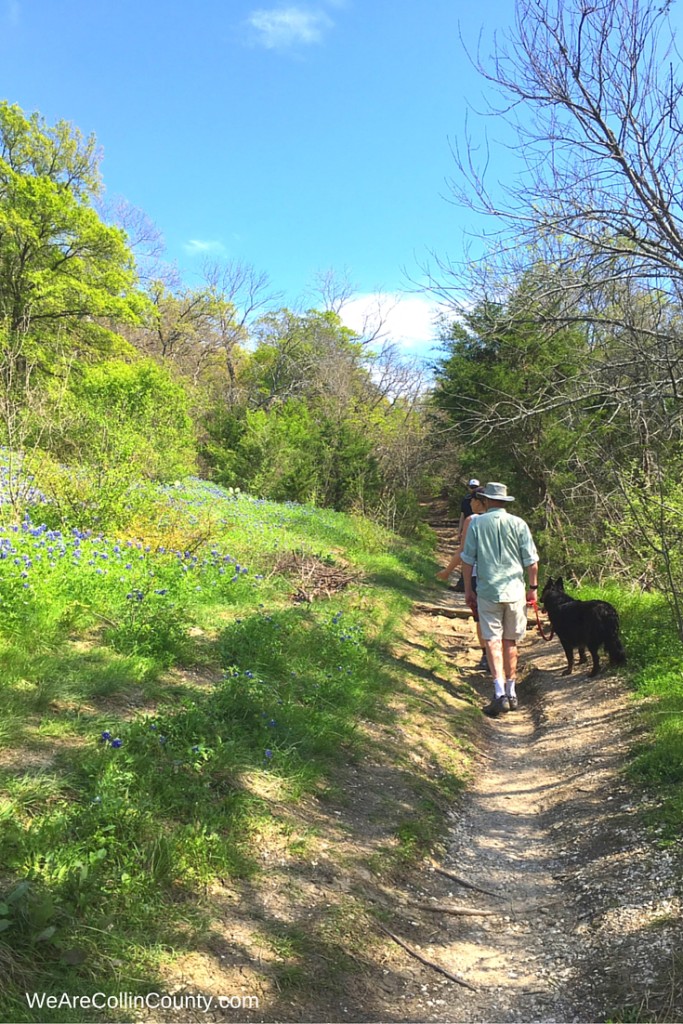 cedar ridge preserve