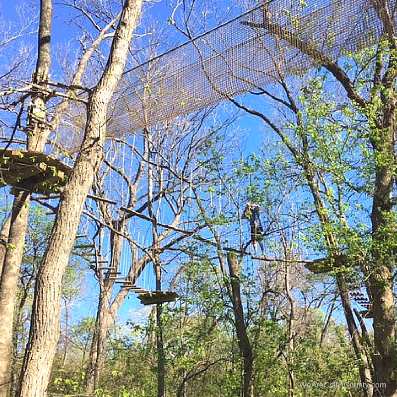 Go Ape Treetop Adventure Course Plano We Are Collin County