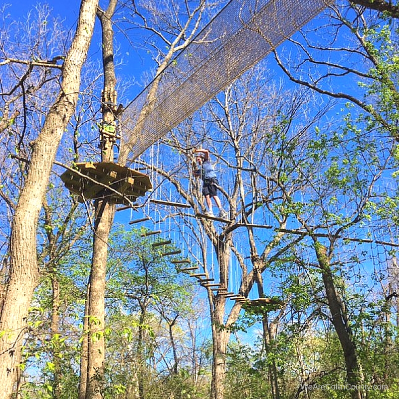 Go Ape Treetop Adventure Course Plano We Are Collin County