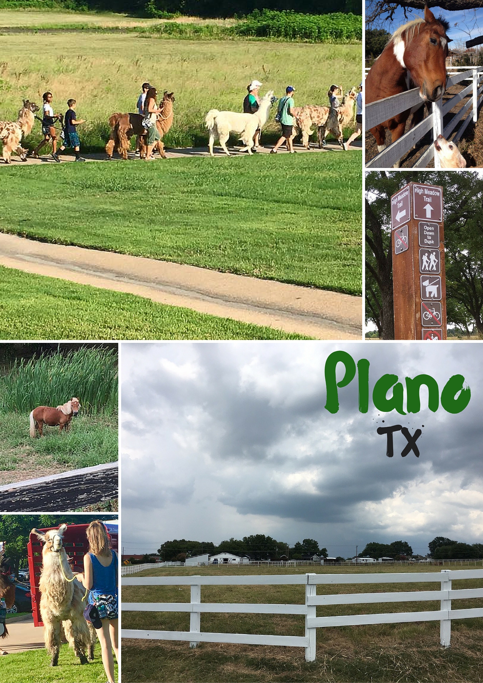 plano texas