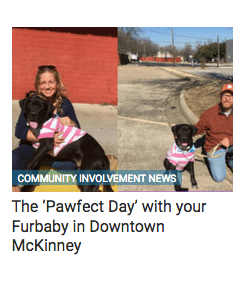 mckinney texas krewe of barkus