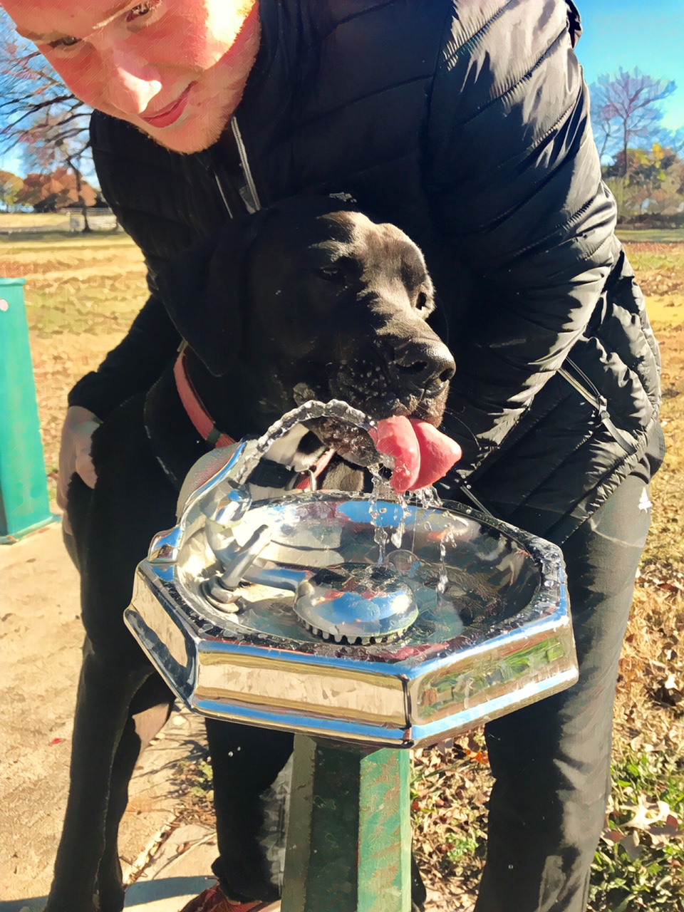 Dutch's Online Dating profile - meet him at Central Bush Barkway