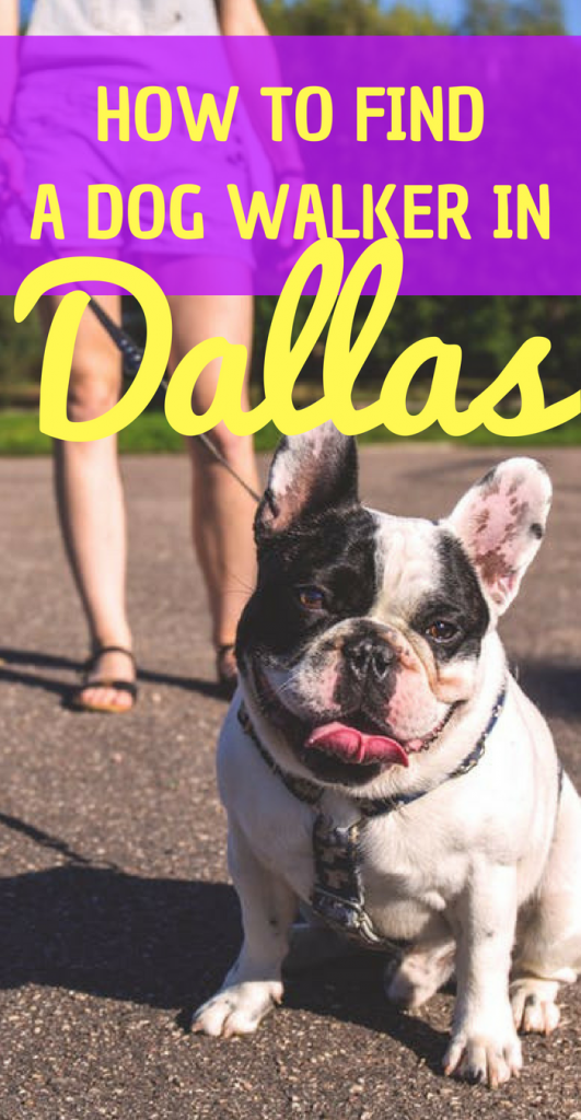 HOW TO FIND A DOG WALKER IN Dallas #DallasTexas #Wag #PlanoTX #DogWalking #Howtobeadogwalker