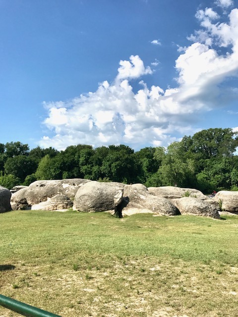 Big Rocks Park in Glen Rose Texas