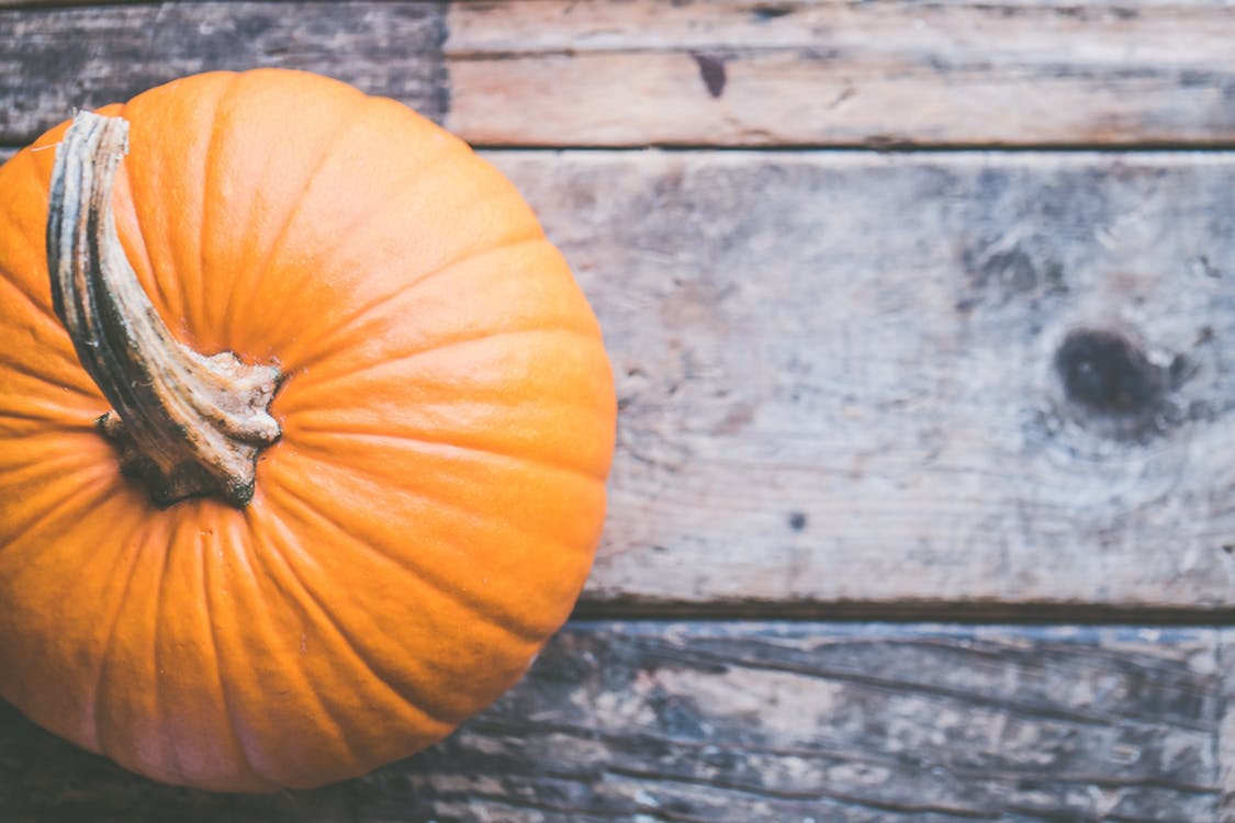 The Best Pumpkin Patches in Dallas Fort Worth