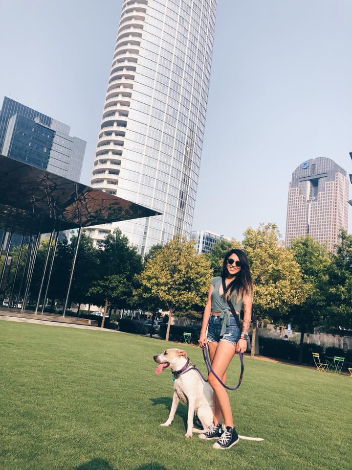 How to find the best dog walker in Dallas #DallasTX #Wag