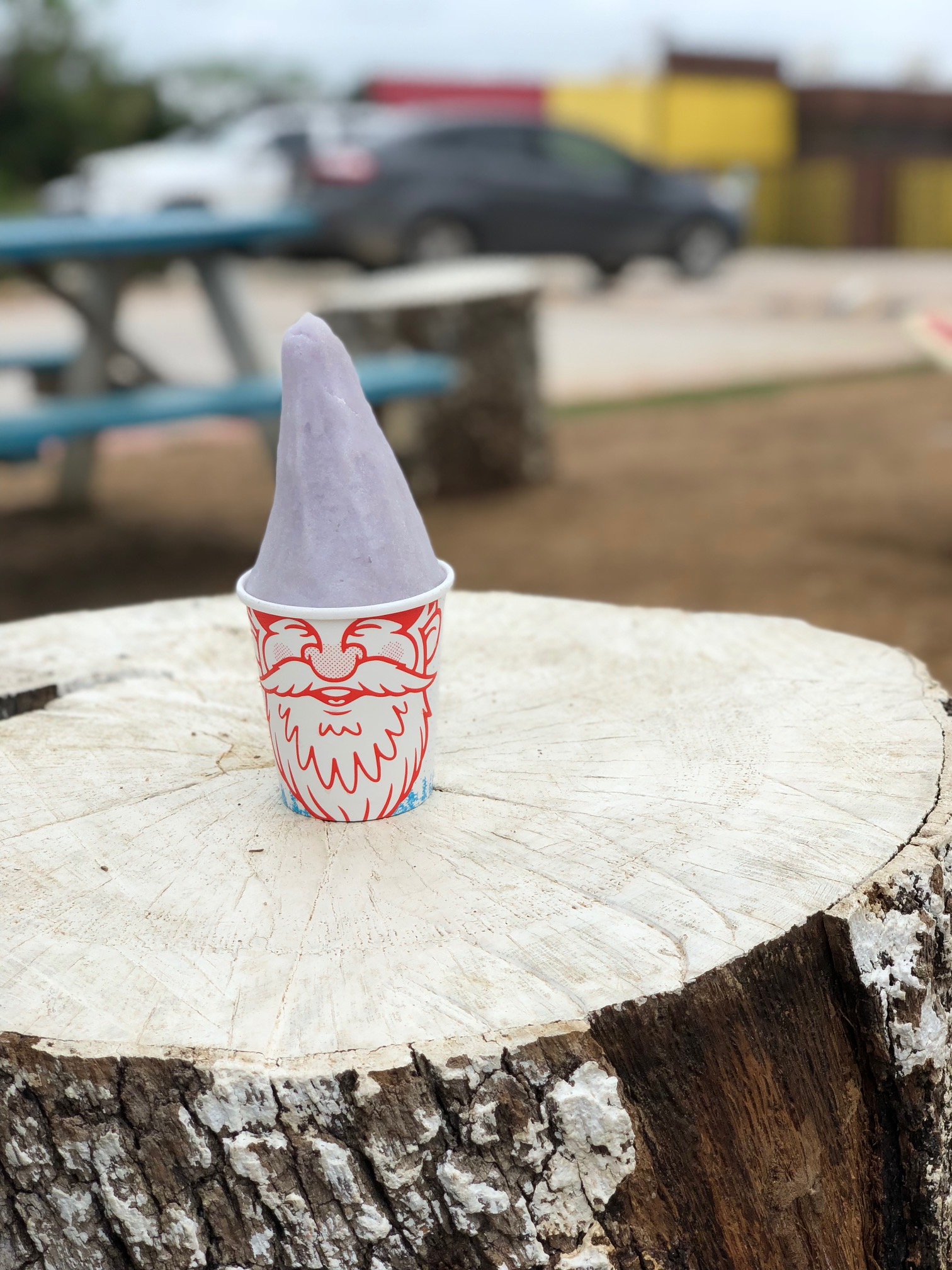 gnome cones in Argyle Texas just outside of Denton #DentonTX