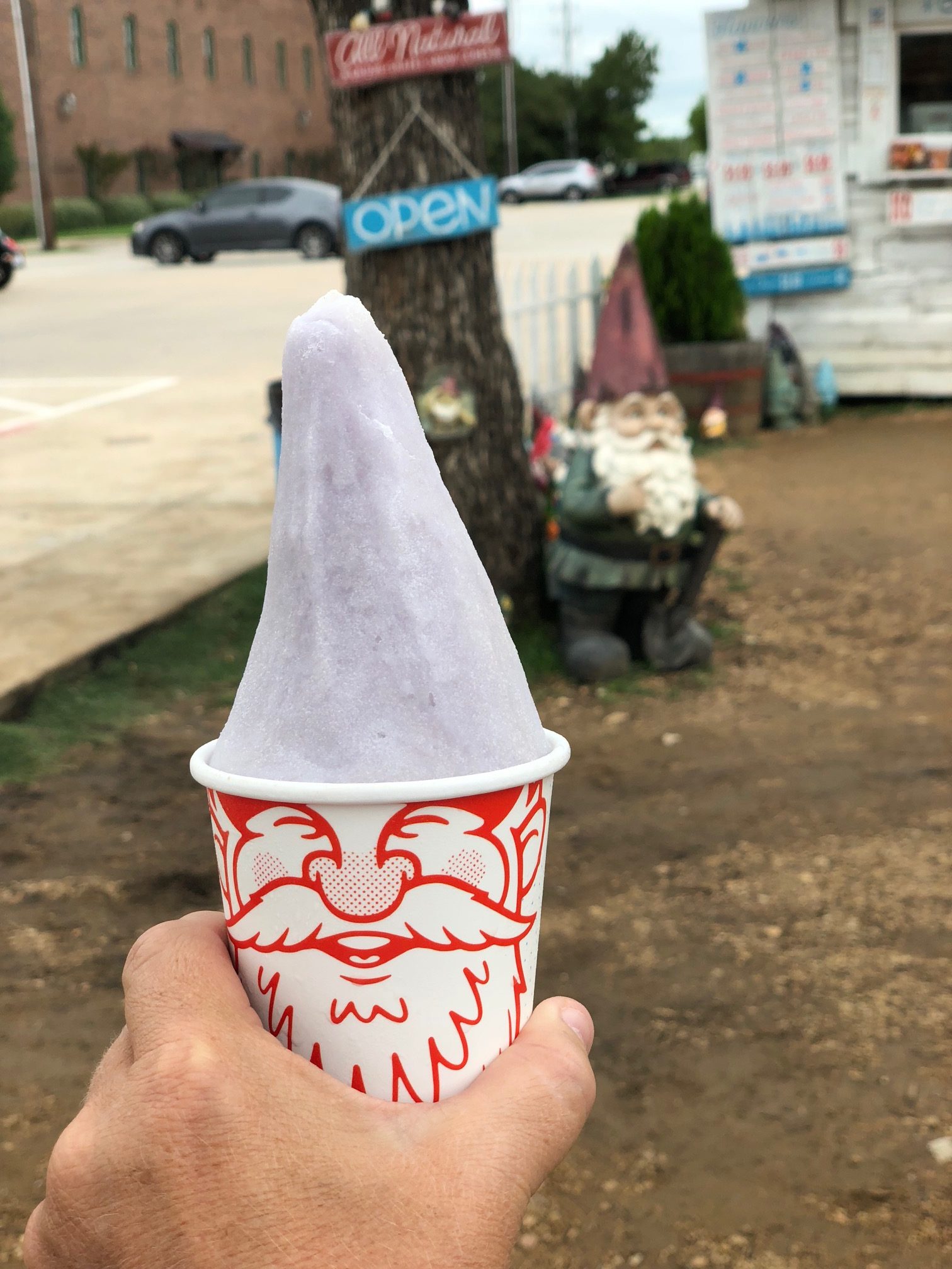 gnome cones in Argyle Texas just outside of Denton #DentonTX