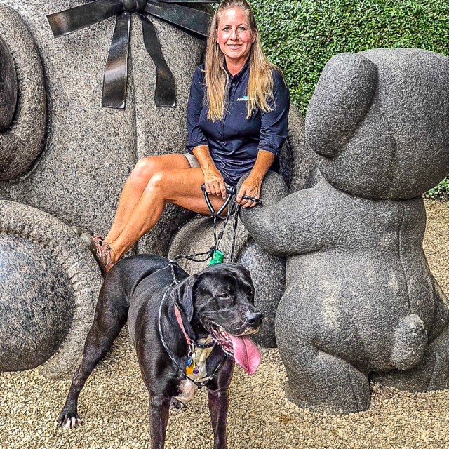 You Can Find These Massive Teddy Bears In This Hidden Dallas Park - Narcity