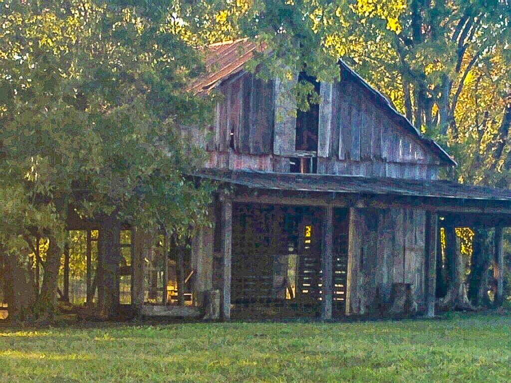 Picnic At Parker Barn In Parker Texas We Are Dallas Fort Worth