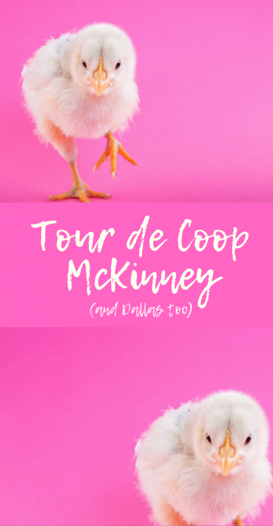 Tour de Coop McKinney
