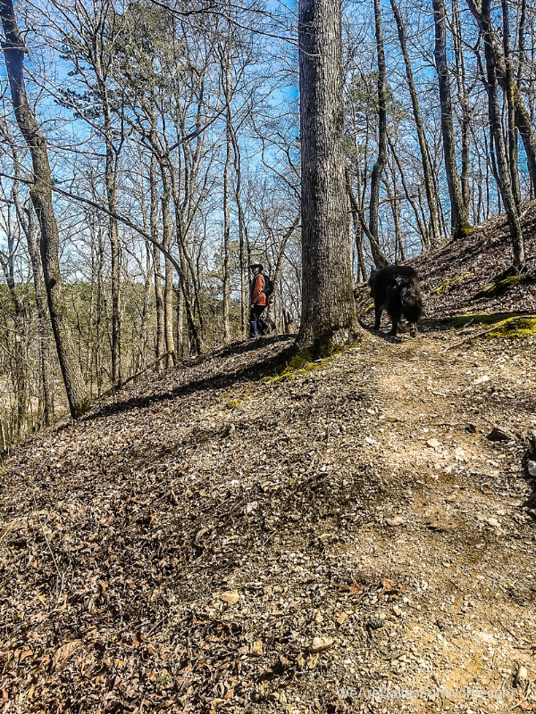 Beaver's Bend State Park 