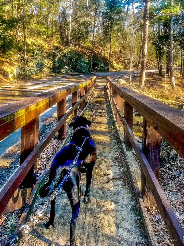 Beaver's Bend State Park 