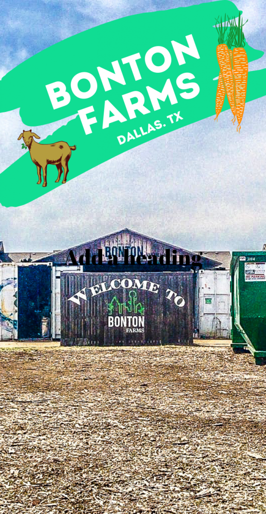 Bonton Farms Dallas