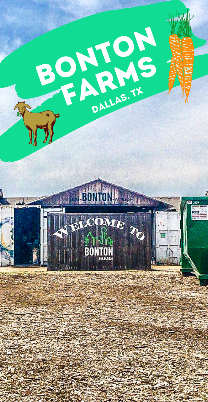 The Magic of Bonton Farms in South Dallas - We Are Dallas Fort Worth