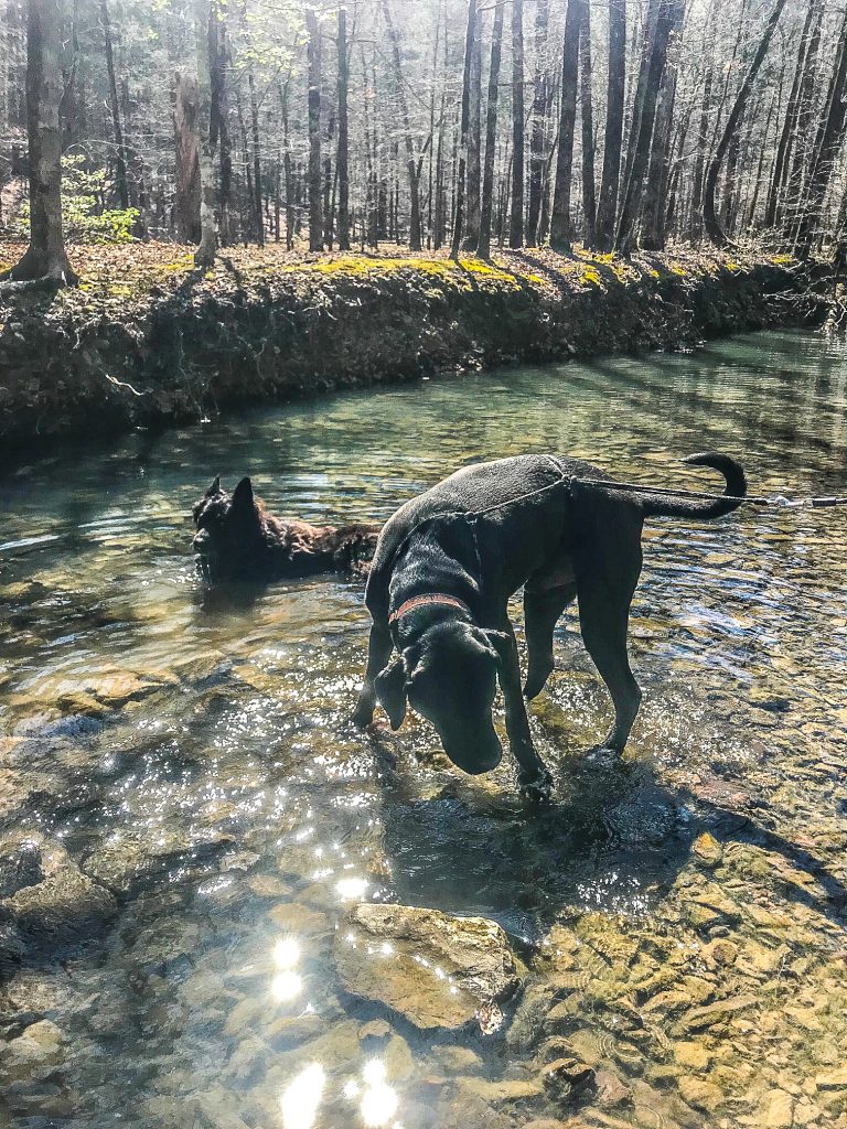 Beavers Bend State PArk