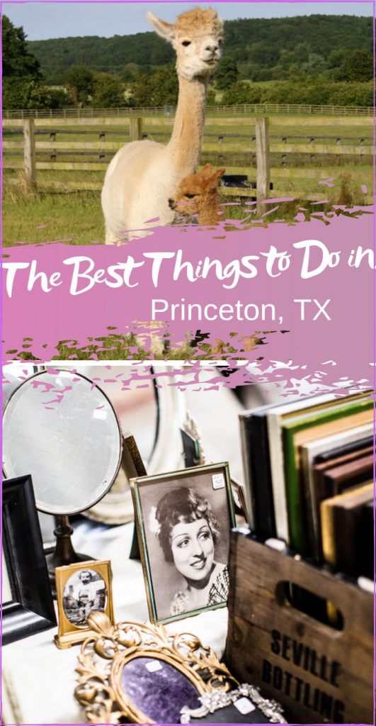 The Best Things to Do in Princeton Texas