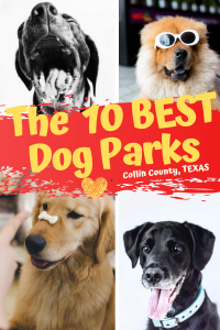 The Best 10 Dog Parks in Collin County, TX