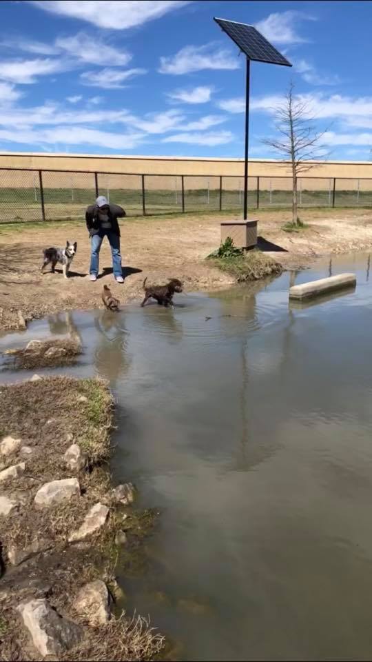 North Bark Dog Park