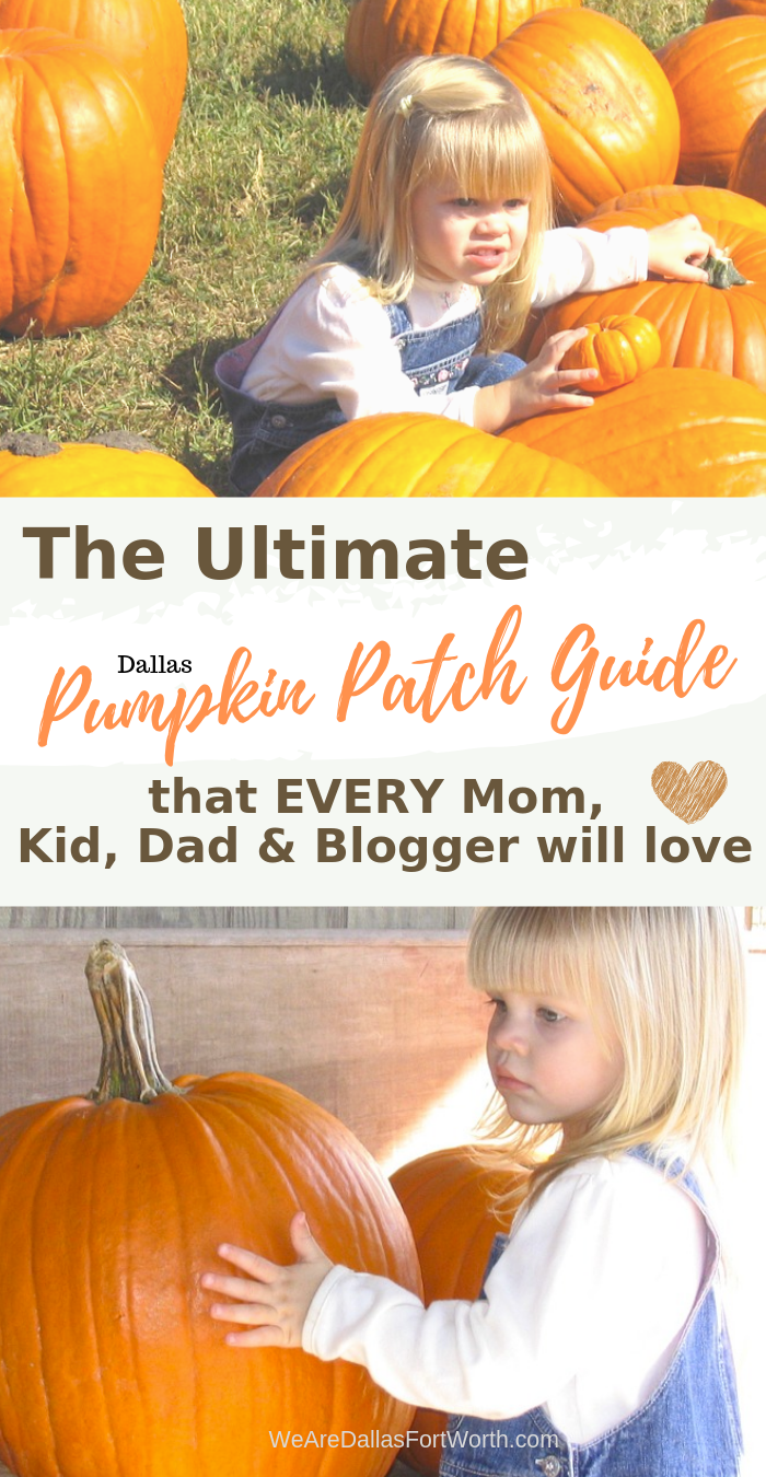 The Ultimate 2020 Dallas Pumpkin Patch Guide That Every Mom Kid Dad Blogger Will Love We Are Dallas Fort Worth