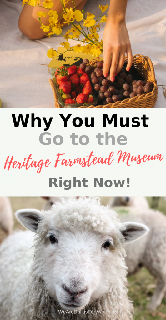 Why you must go to the Heritage Farmstead Museum in Plano right now