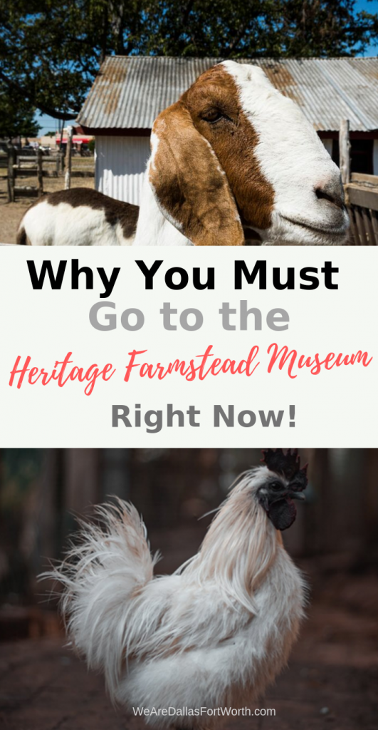 Why you must go to the Heritage Farmstead Museum in Plano right now