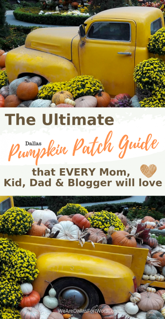 The Ultimate 2019 Dallas Pumpkin Patch Guide (that EVERY Mom, Kid, Dad & Blogger will love)