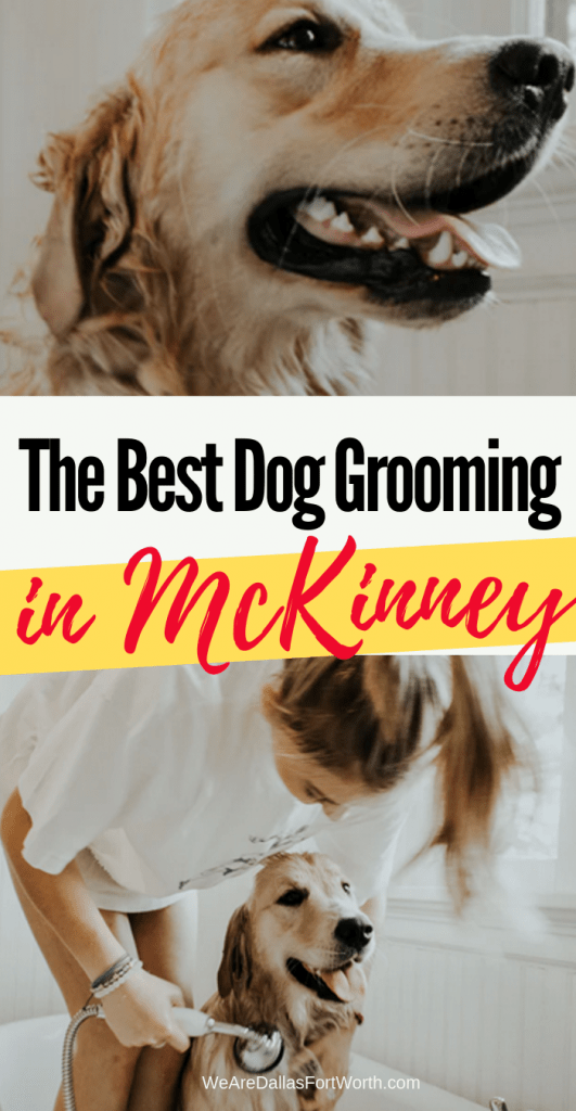 How to Find the Best Dog Grooming in McKinney