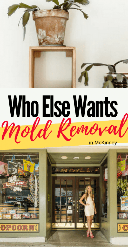 Who else wants mold removal in McKinney