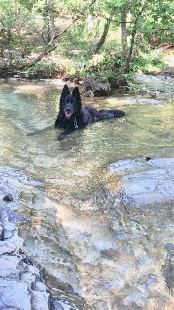 beavers bend state park activities