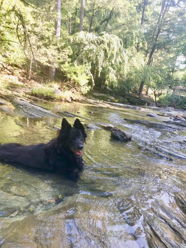 beavers bend state park activities