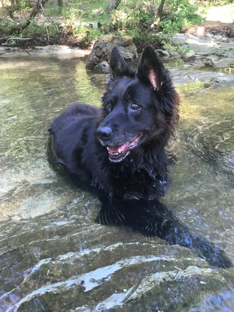 beavers bend state park activities