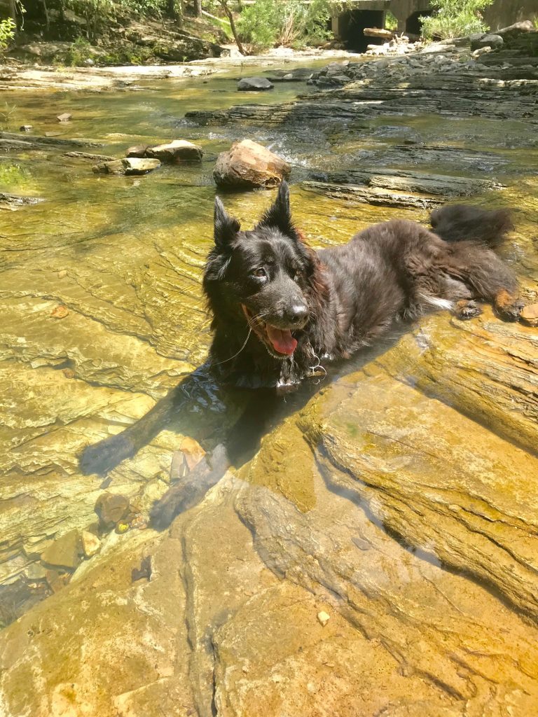 beavers bend state park activities