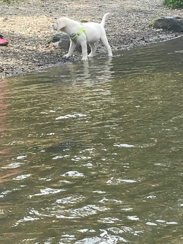 beavers bend state park activities