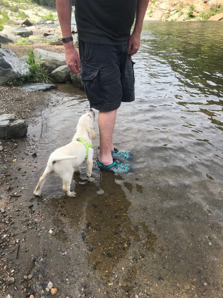 beavers bend state park activities