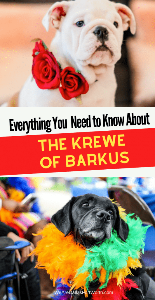 Krewe of Barkus McKinney