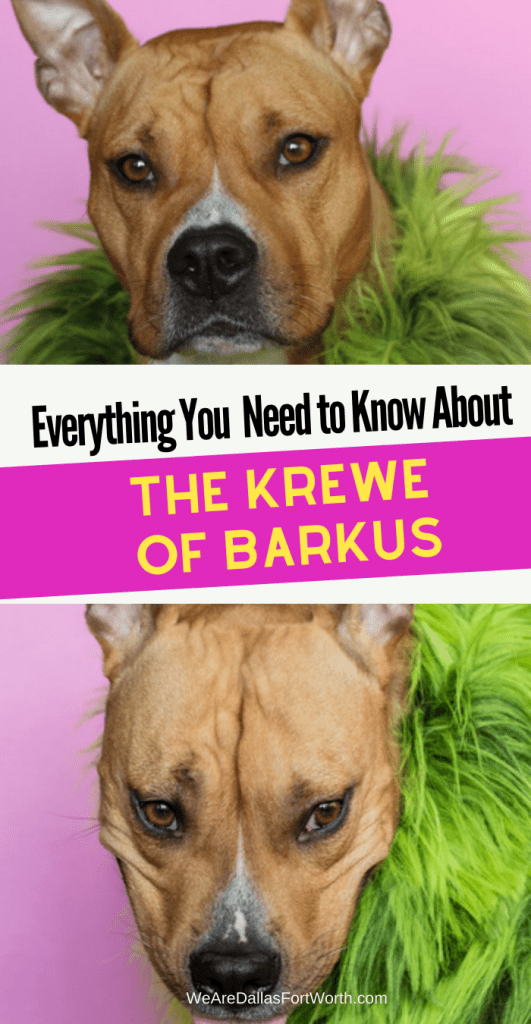 Krewe of Barkus McKinney