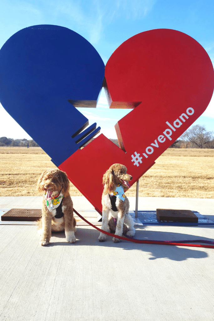 Geekster Pets: Geeky Bandanas For Your Pet