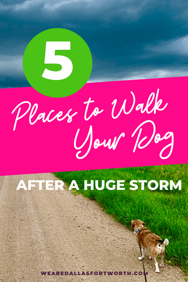 5 Paved Trails to Walk your Dog in Dallas (after a huge Texas storm)