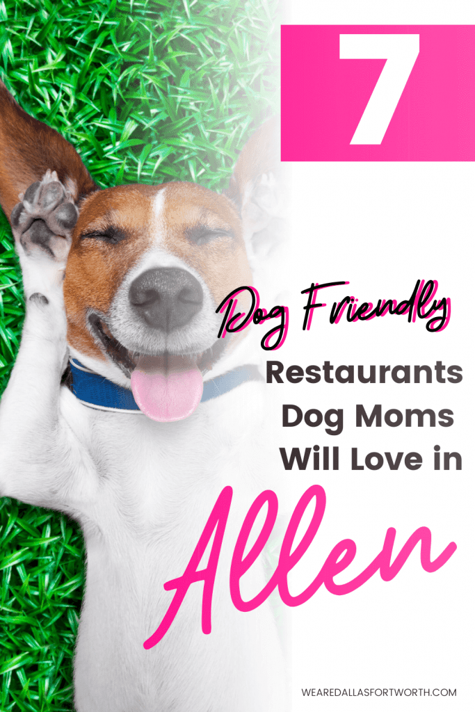 7 Dog Friendly Restaurants in Allen