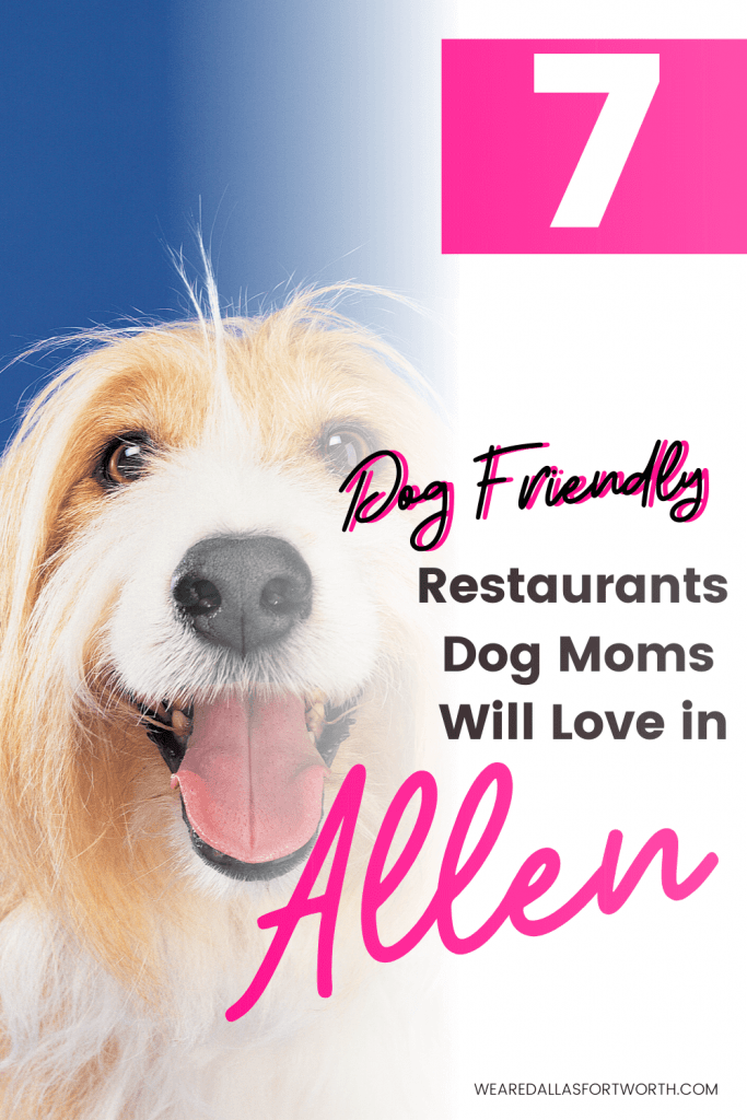 7 Dog Friendly Restaurants in Allen