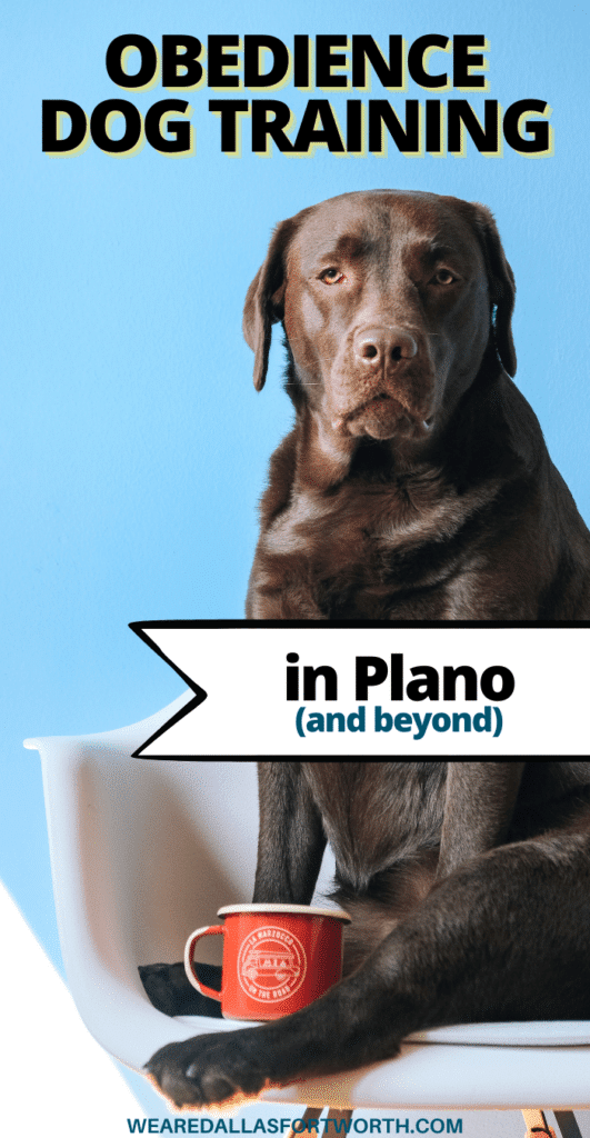 obedience dog training plano