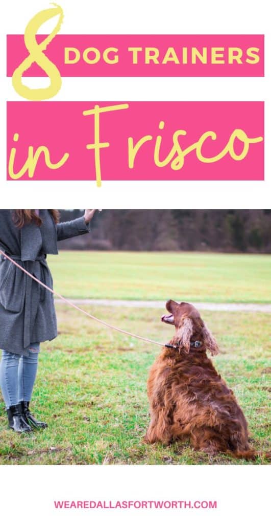 8 Dog Trainers in Frisco Recommended by Dog Moms