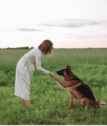 8 Dog Trainers in Frisco Recommended by Dog Moms