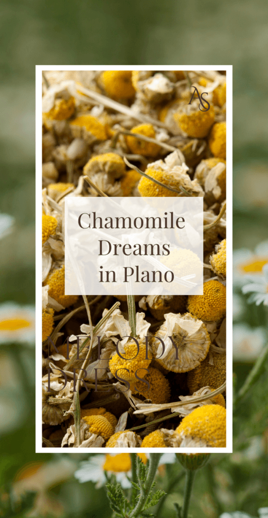 chamomile plano