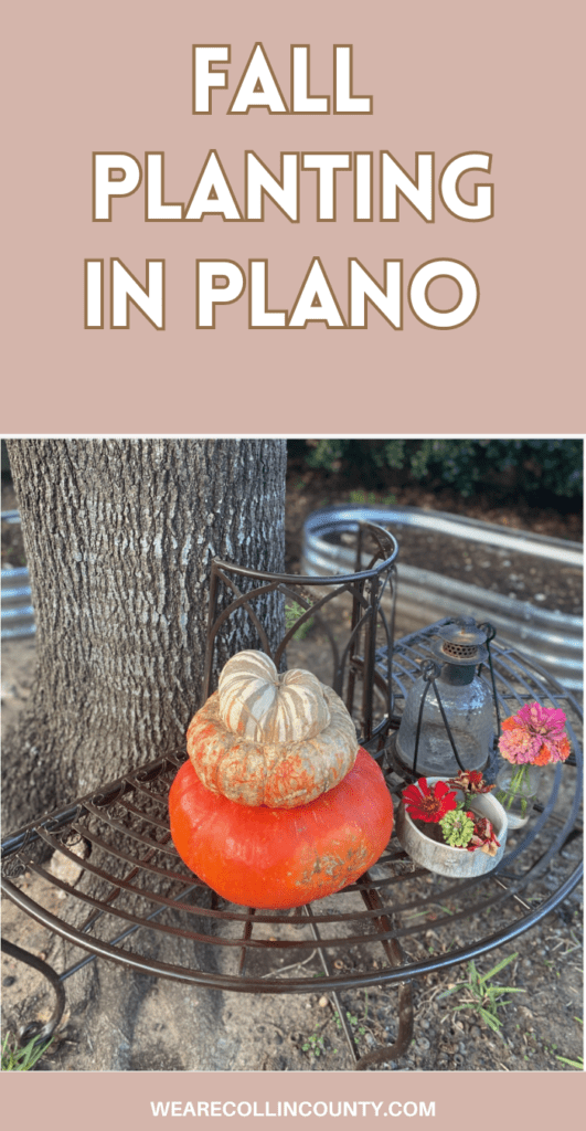 fall planting plano