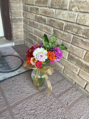 growing zinnias